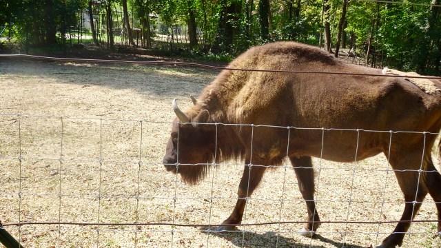 31CF8BEF-503A-4A7A-ADF4-9EB4EDA0C78D