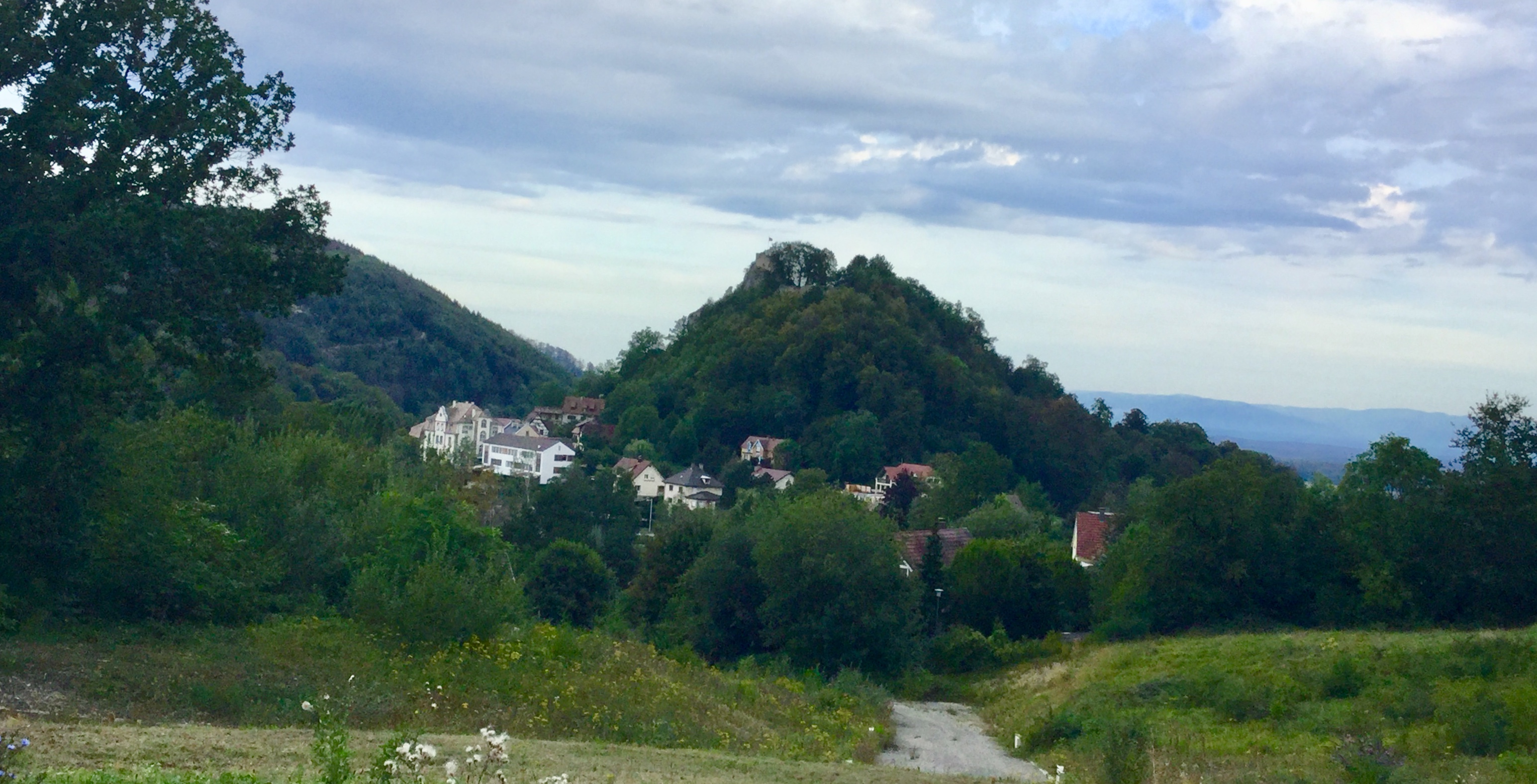 3FD56327-A406-4EB0-A853-BA3FD734FCEE