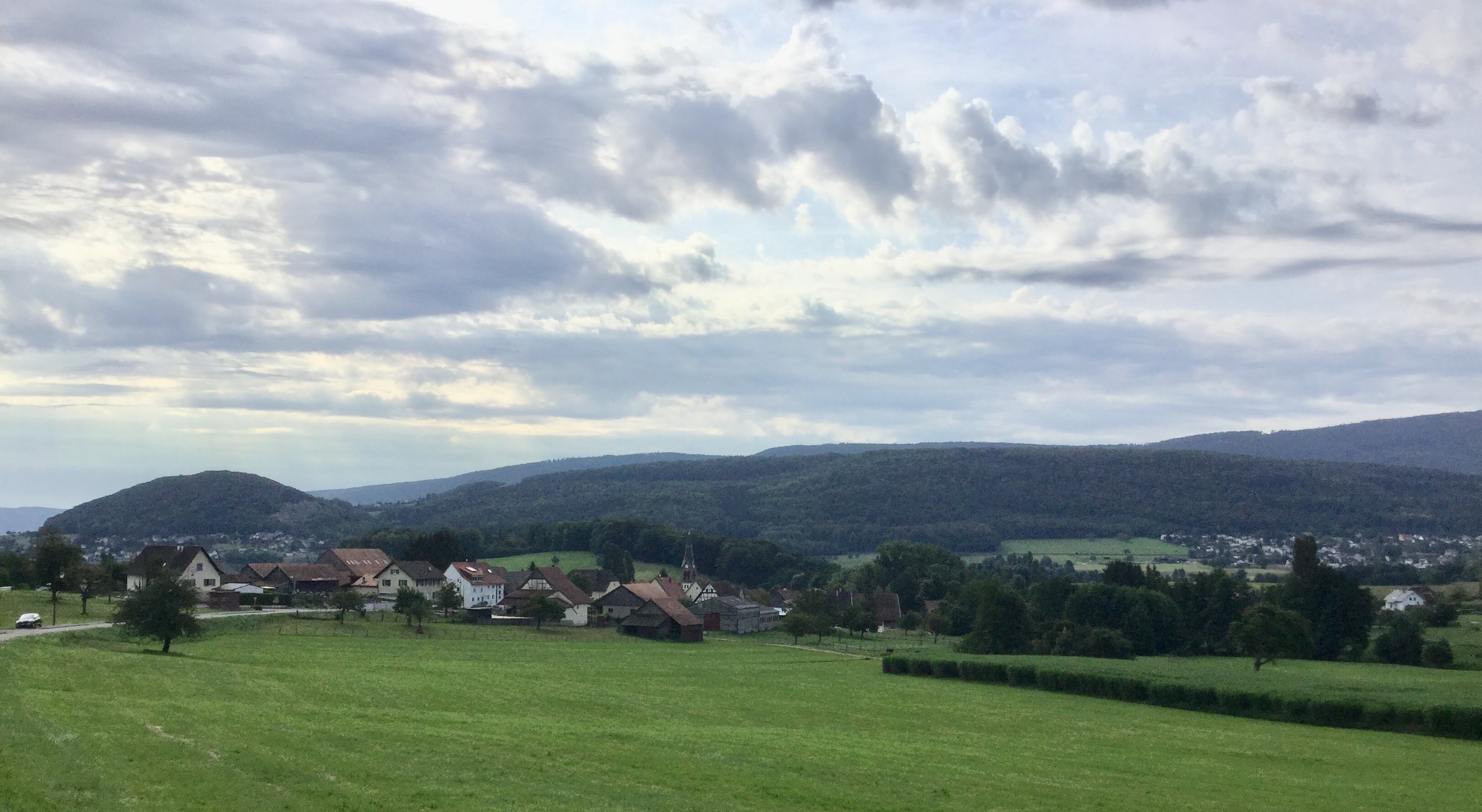 443E2C19-C036-401F-8420-3847ED0ADA5A