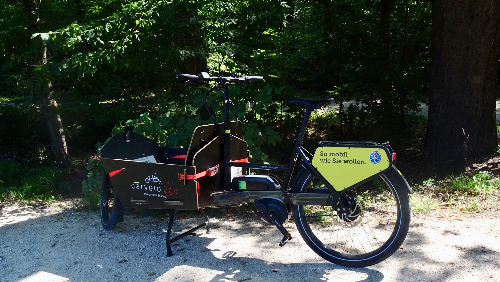 528D67D4-4099-4ED8-BCC8-2C09DA550730