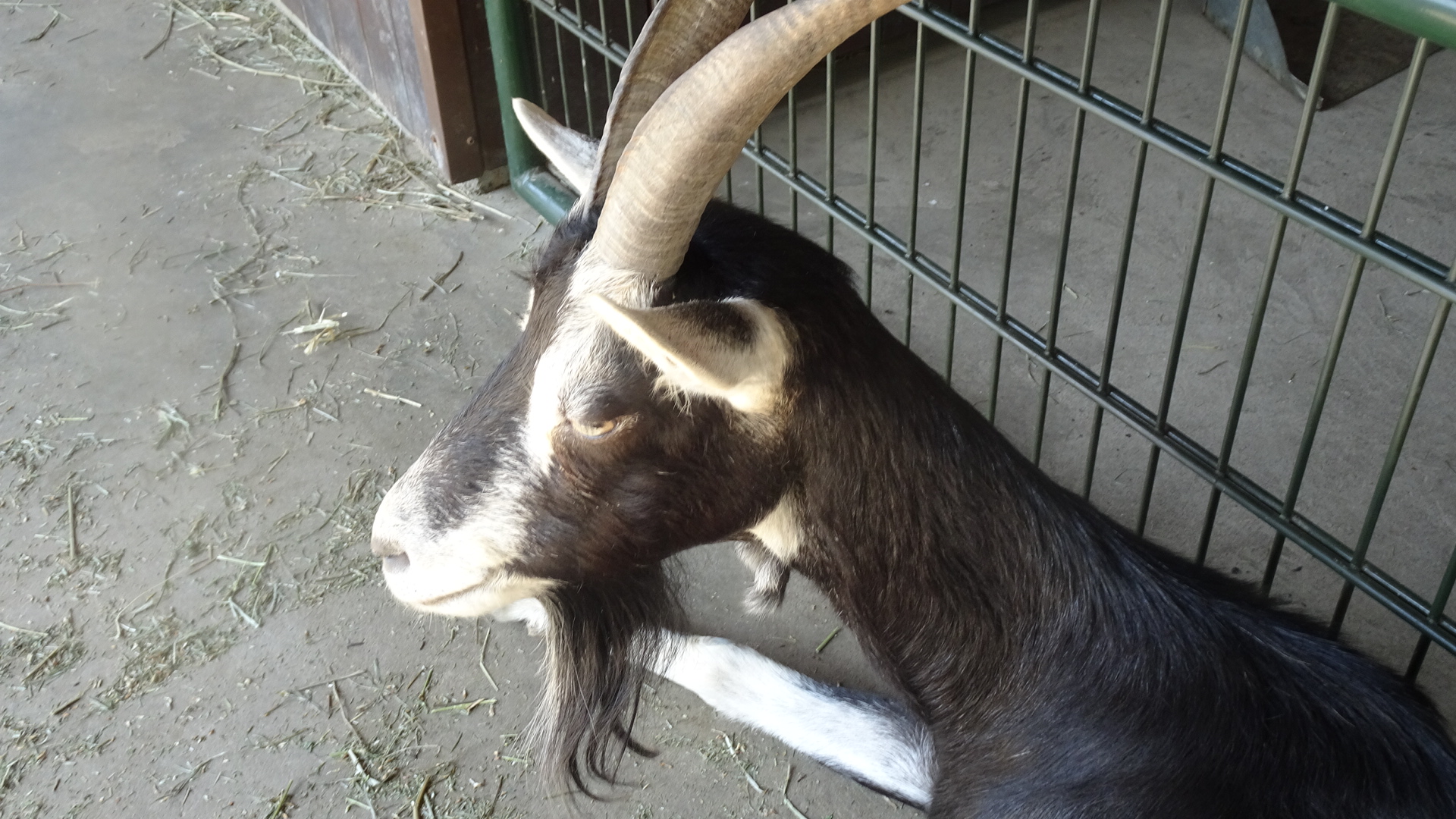 6A68CB1E-ABE3-4012-88C1-FA4C24BD8C68