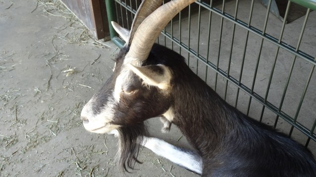 6A68CB1E-ABE3-4012-88C1-FA4C24BD8C68