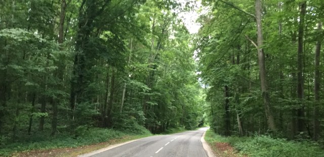 7DB9E919-03A2-45C4-95F3-4ED8C8DF456A