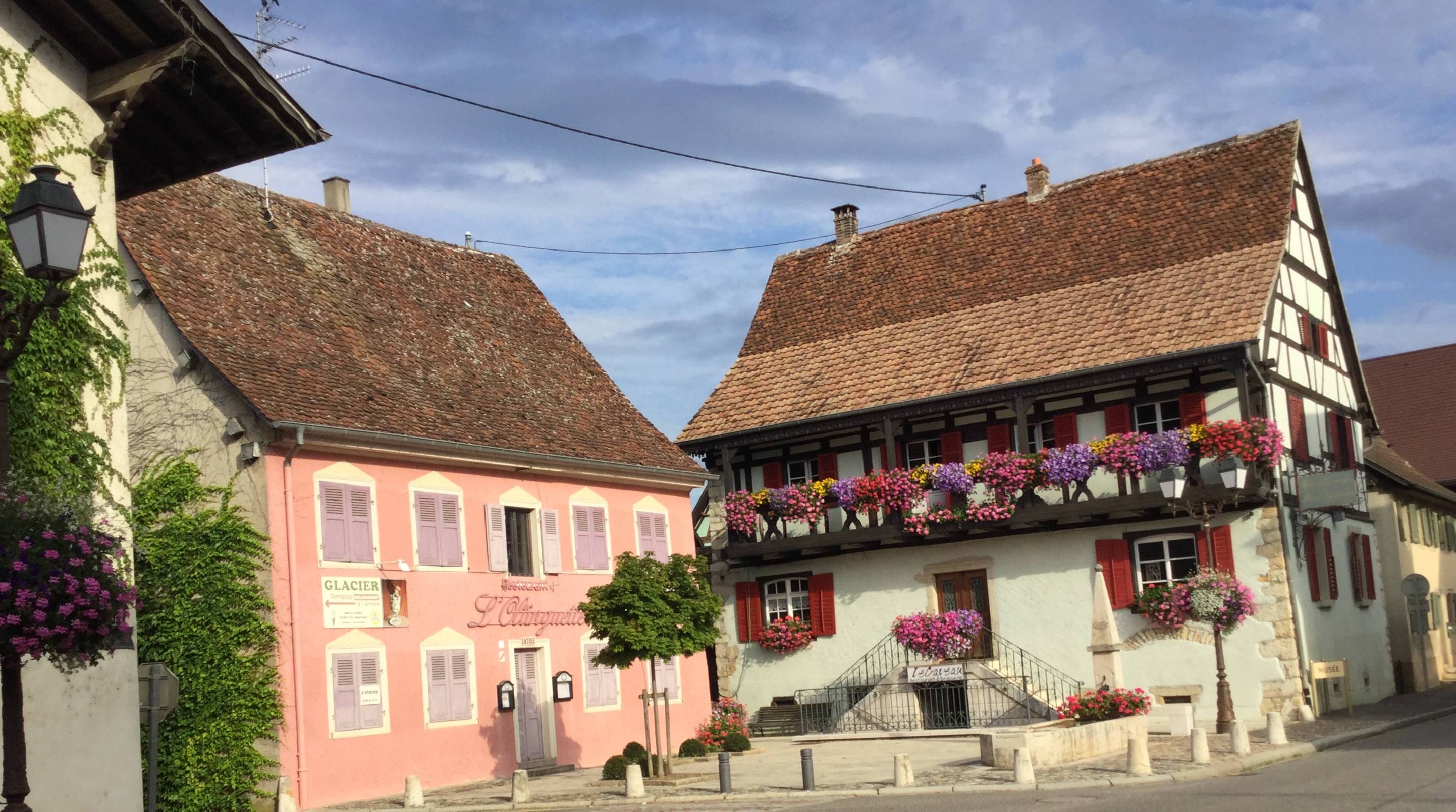 9A5F25B5-83EC-4CBF-BFB9-A51AE19193D1