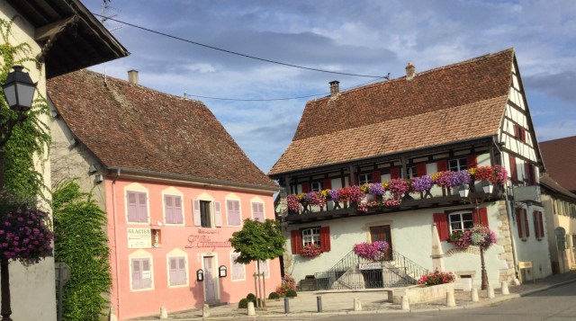 9A5F25B5-83EC-4CBF-BFB9-A51AE19193D1