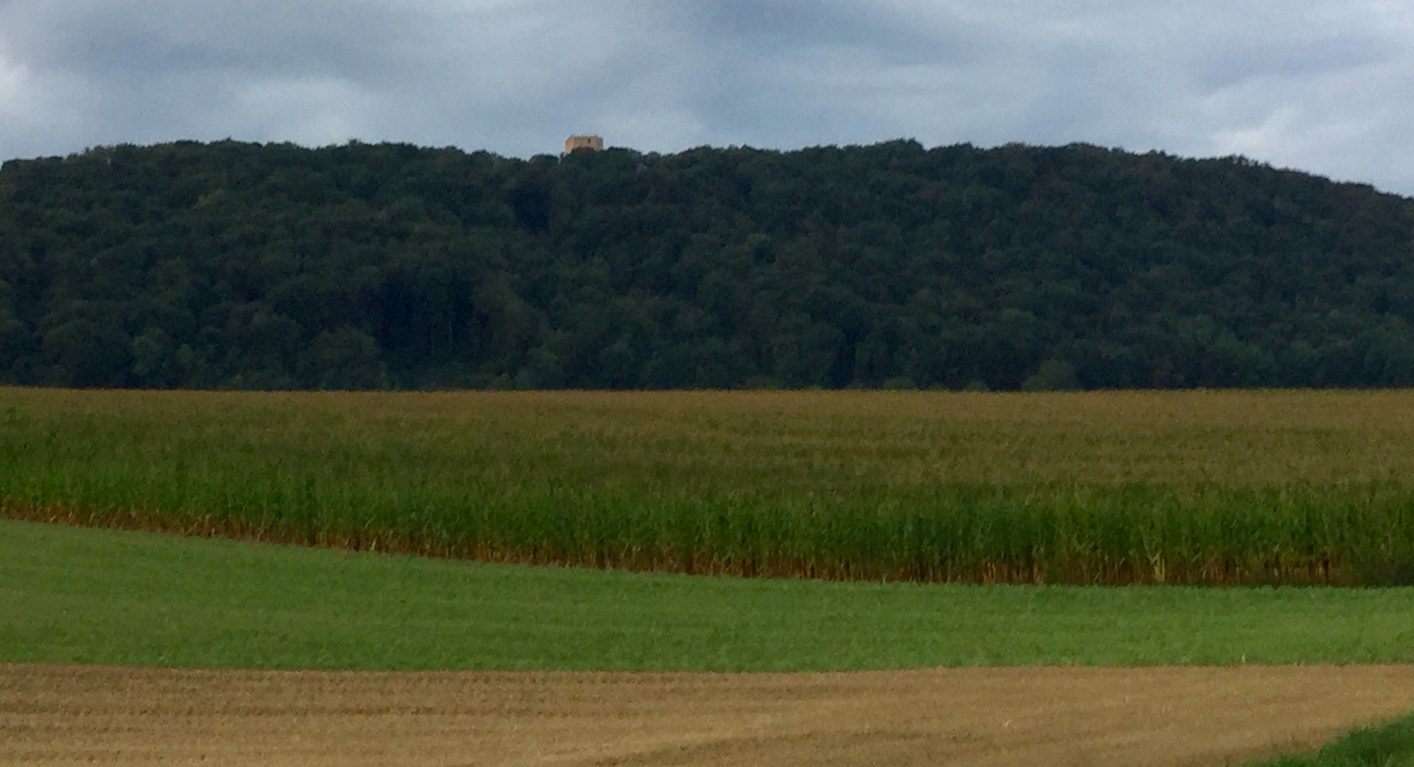 B2D0E12F-A89A-4FBD-B1AC-FBE81FCE800A