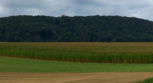 B2D0E12F-A89A-4FBD-B1AC-FBE81FCE800A