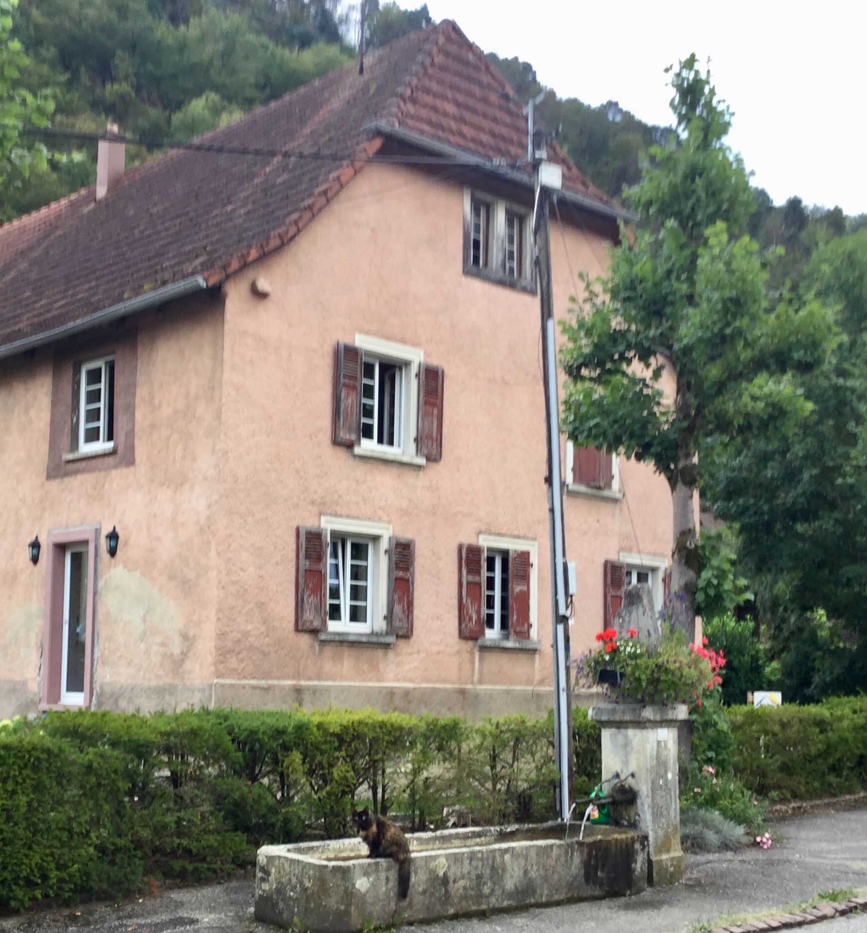 B49EF02F-FF92-48A9-9E2C-05F9DA6BCE0E