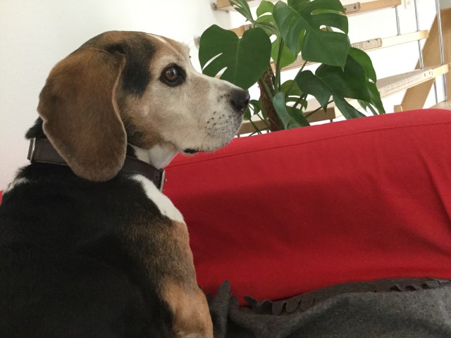 CF21E668-5CFC-4DCF-8250-4531D6BF22AB