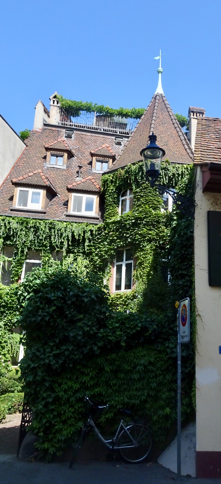 E4E94E27-6CD4-462A-BE85-0EB6C607CAE6