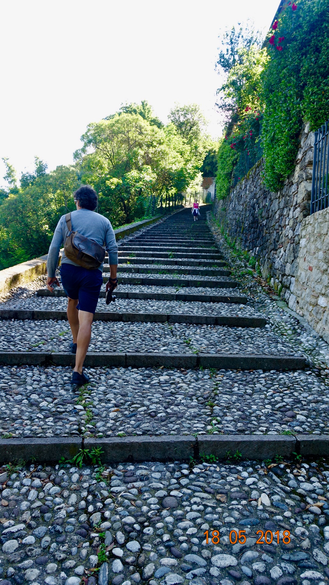 018D5BB6-8315-4235-A88F-7B9814F5B8F4